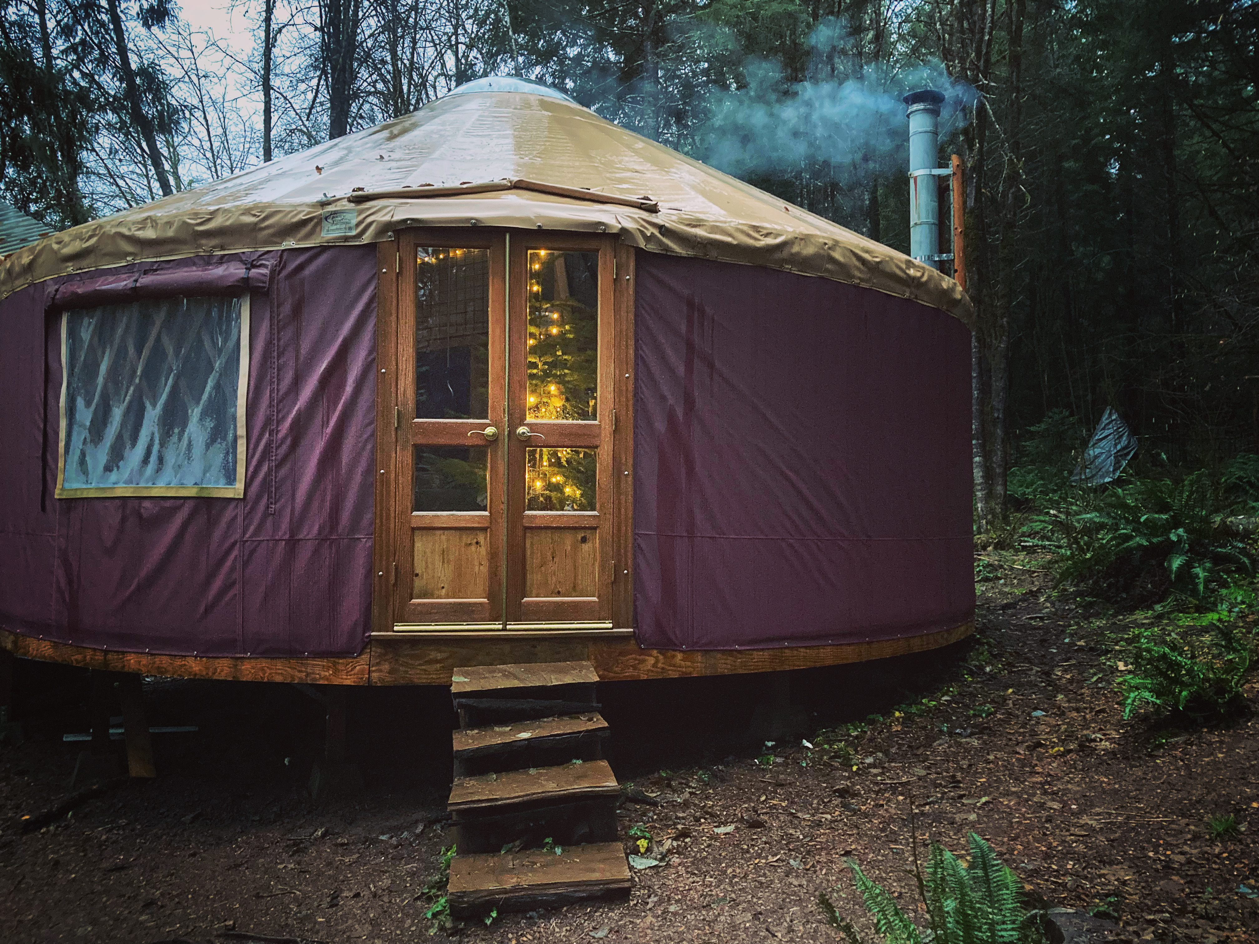 Pacific yurt with a Christmas tree in the window