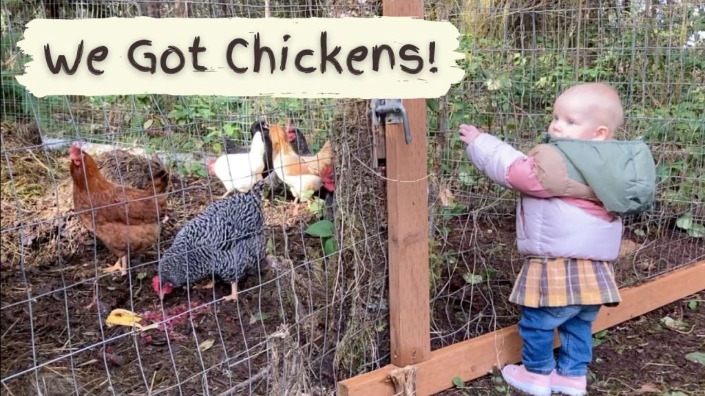 We Added Chickens on the&nbsp;Homestead!